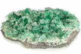 Fluorescent Green Fluorite Cluster - Diana Maria Mine, England #208844-2